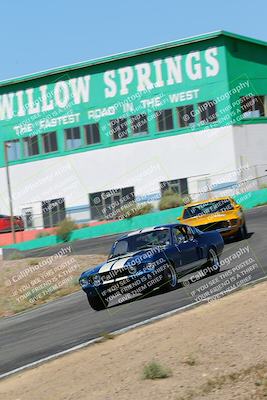 media/May-07-2022-Cobra Owners Club of America (Sat) [[e681d2ddb7]]/Yellow/Session 1 (Turn 4)/